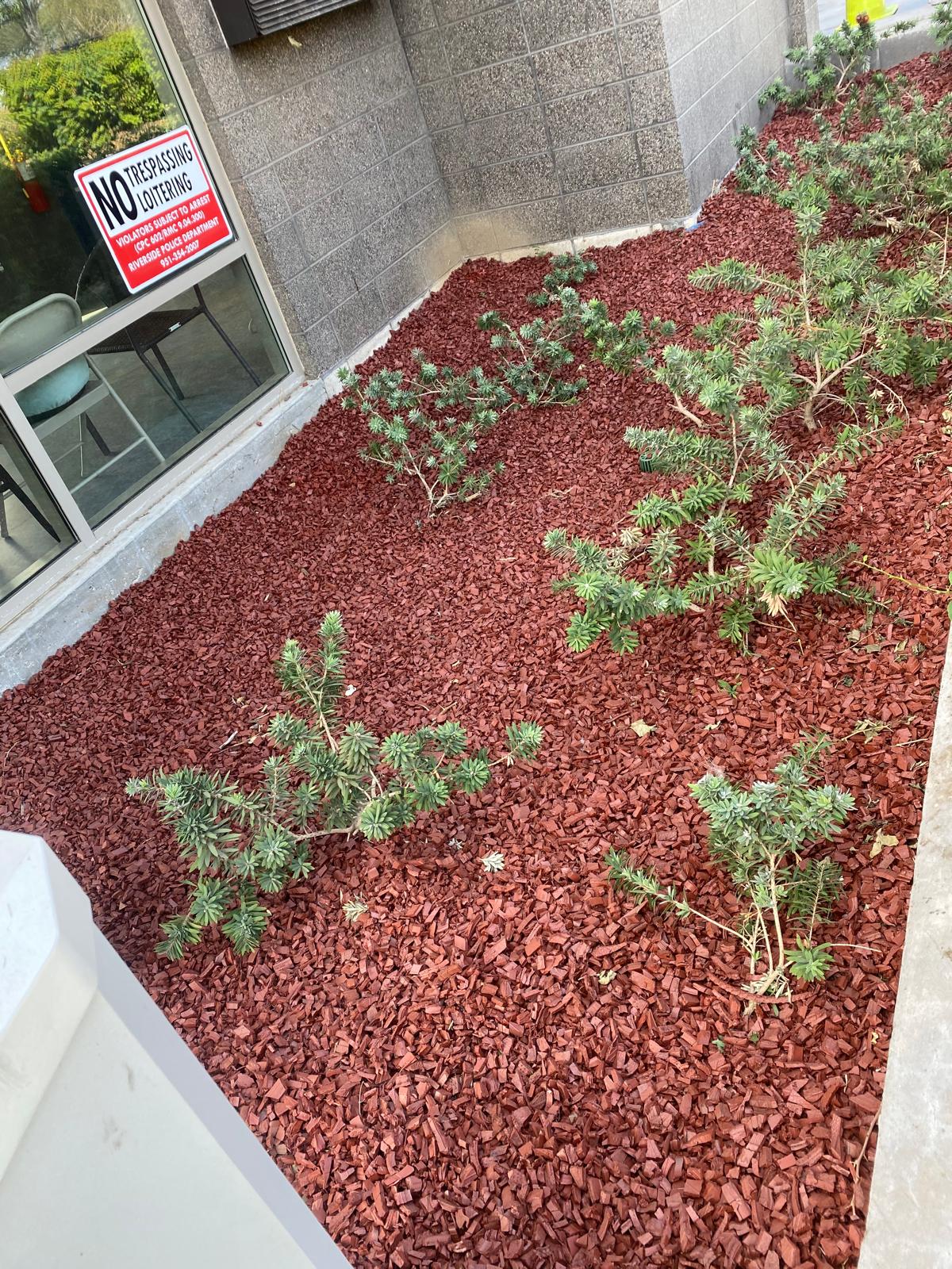 Red Rubber Mulch 20Lb