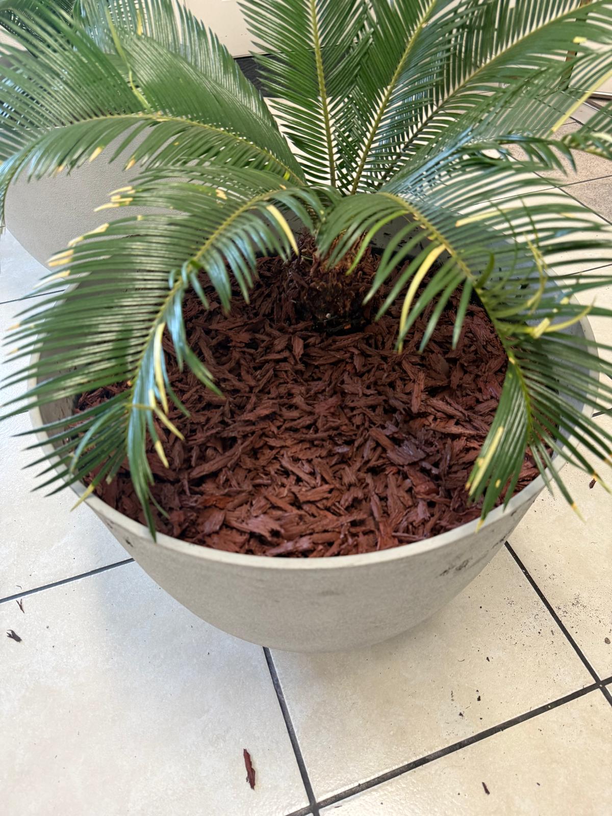 Red Rubber Mulch 20Lb - Shredded