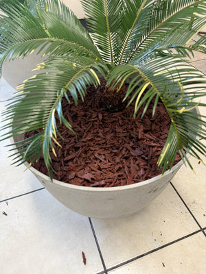 Red Rubber Mulch 20Lb - Shredded