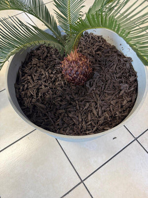 Brown Rubber Mulch 20Lb - Shredded